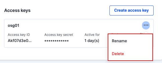 More options menu on an access key showing the Rename and Delete actions